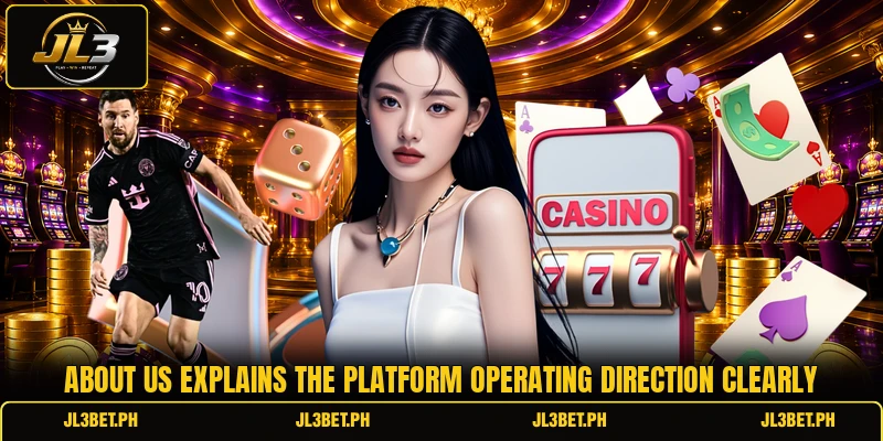 About us explains the platform operating direction clearly